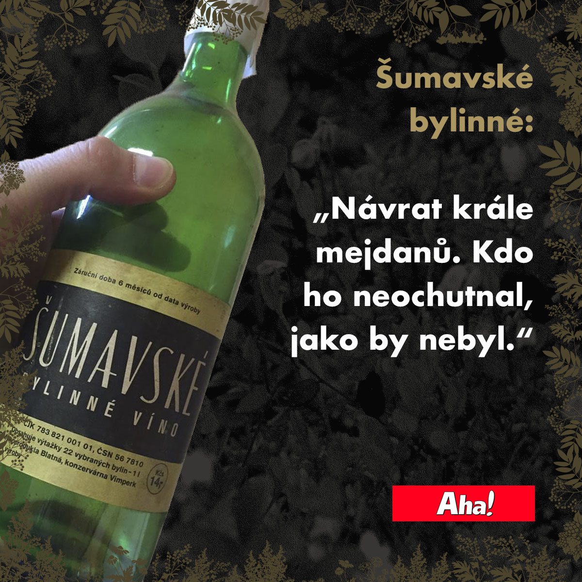 Aha! N8vrat krále mejdanů